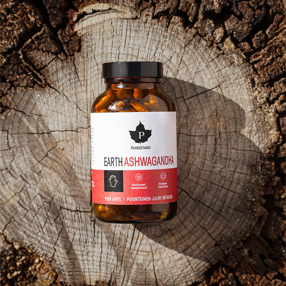 Ashwagandha selitettynä - hyödyt ja käyttötarkoitukset