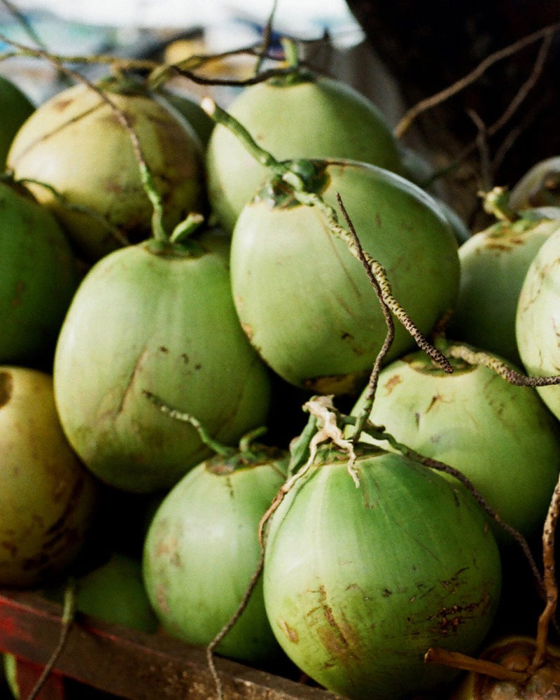 Kookosvesi Mango - 310 ml 12 - pack