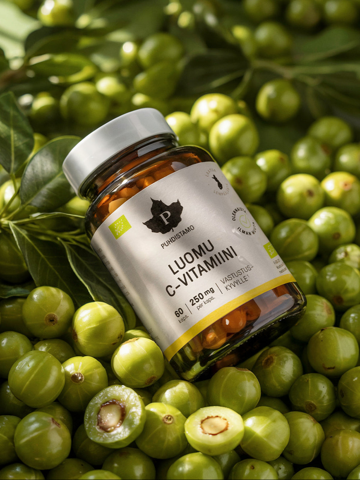 Puhdistamon Luomu C-vitamiini amlamarjoissa