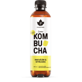 Luomu Kombucha Inkivääri & Sitruuna - 400 ml