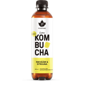 Luomu Kombucha Inkivääri & Sitruuna - 400 ml