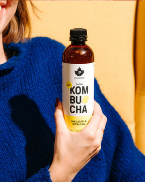 Luomu Kombucha Inkivääri & Sitruuna - 400 ml